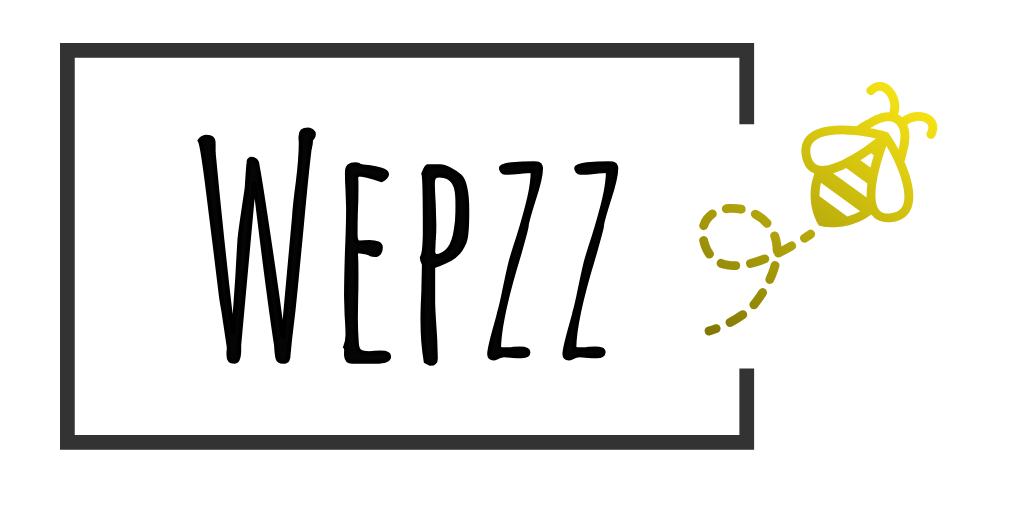 Wepzz websites en webshops Zeeuws-Vlaanderen